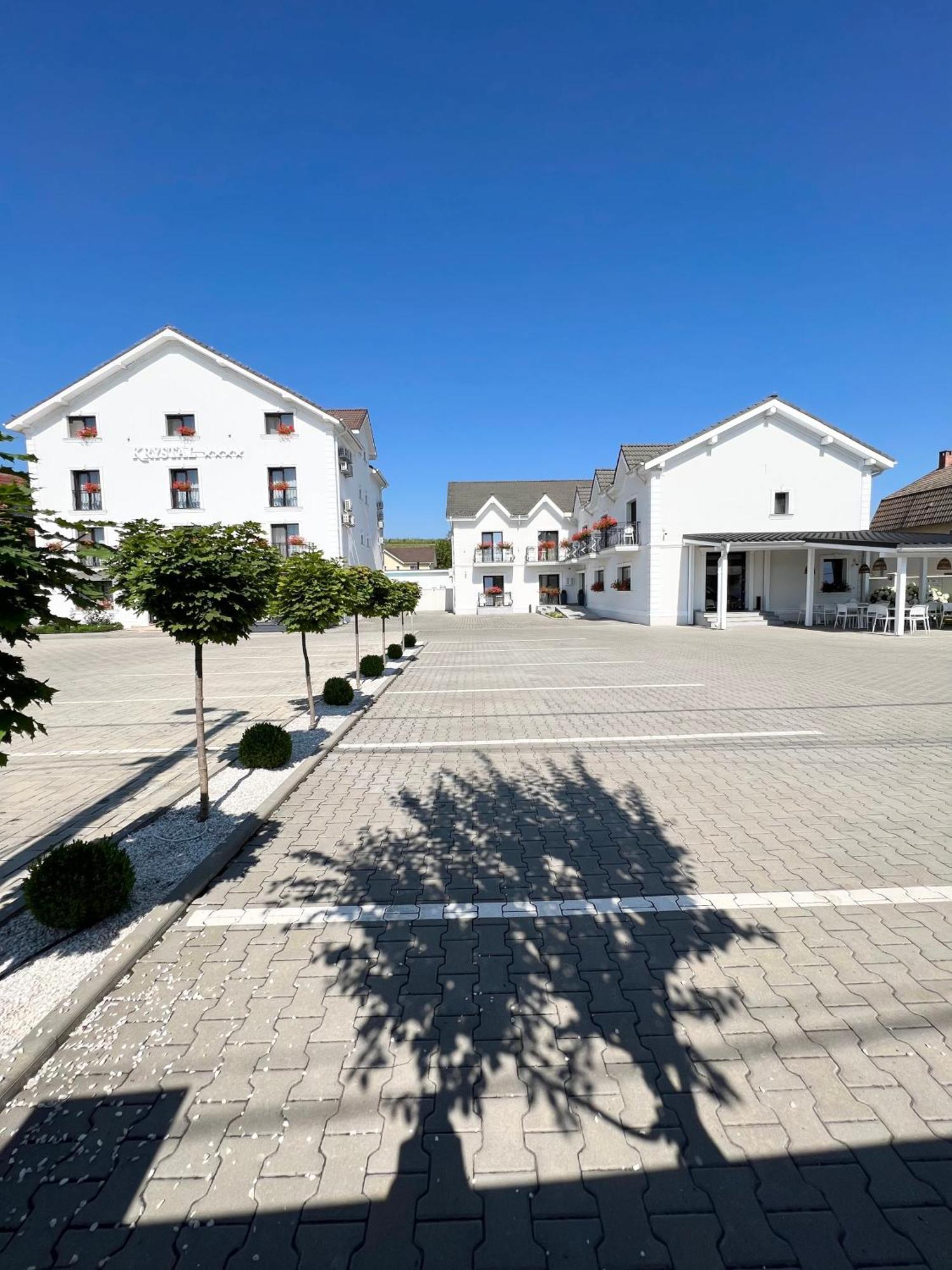 Krystal Boutique Mansion Hunedoara Exterior foto