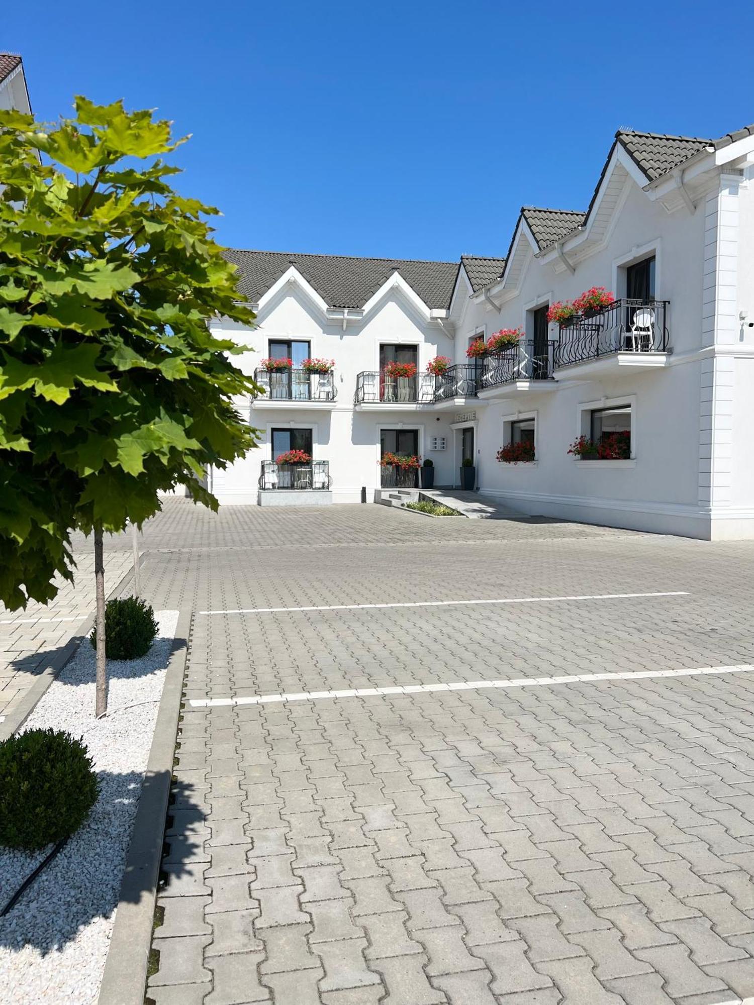Krystal Boutique Mansion Hunedoara Exterior foto